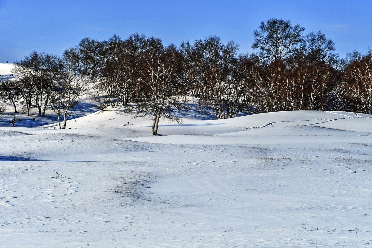 我只是把出去看到的随手记录下来（九十二）