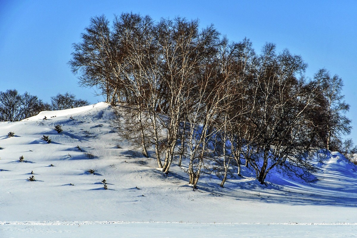 我只是把出去看到的随手记录下来（九十二）