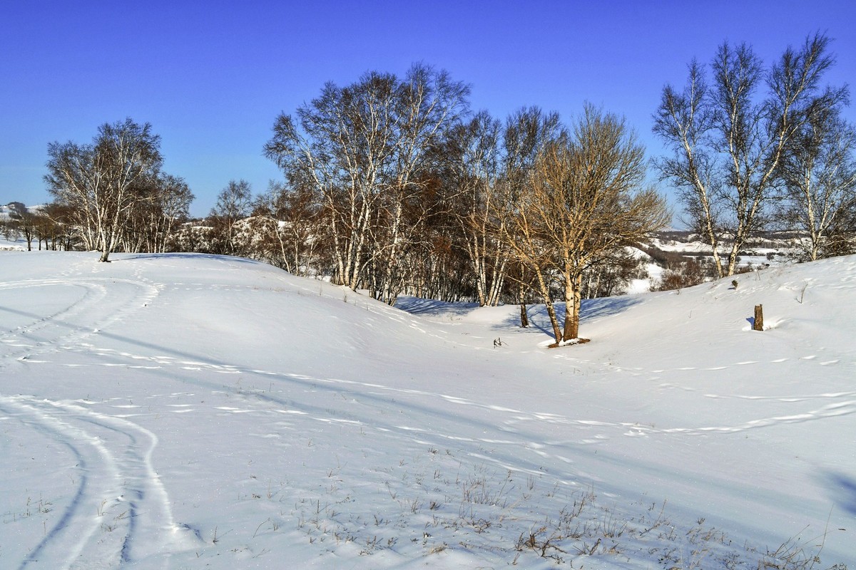 我只是把出去看到的随手记录下来（九十二）