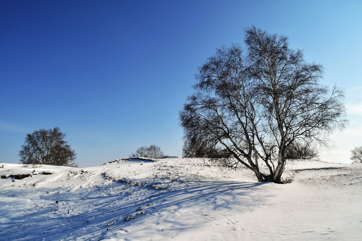 我只是把出去看到的随手记录下来（九十二）