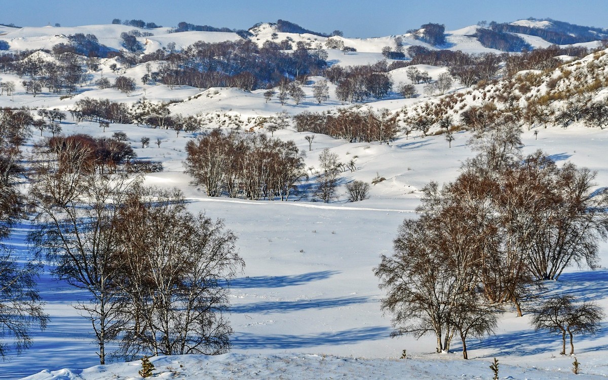 我只是把出去看到的随手记录下来（九十二）
