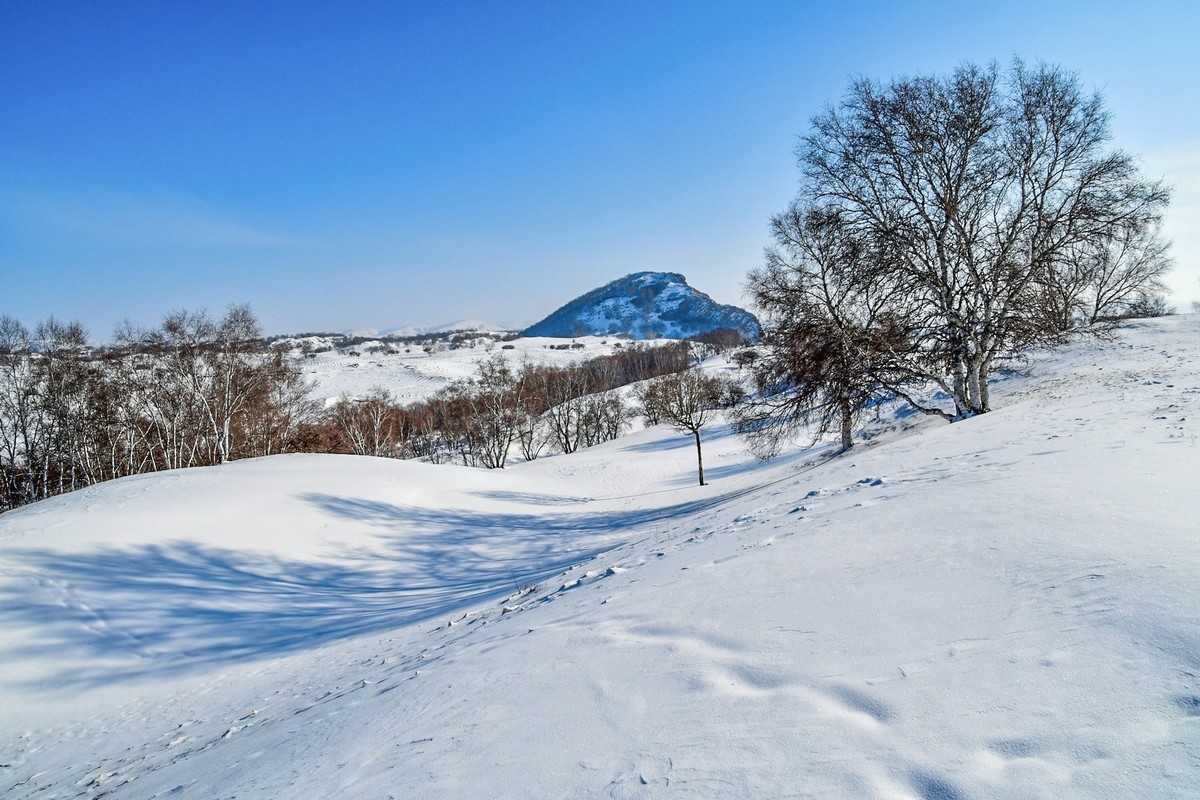我只是把出去看到的随手记录下来（九十二）