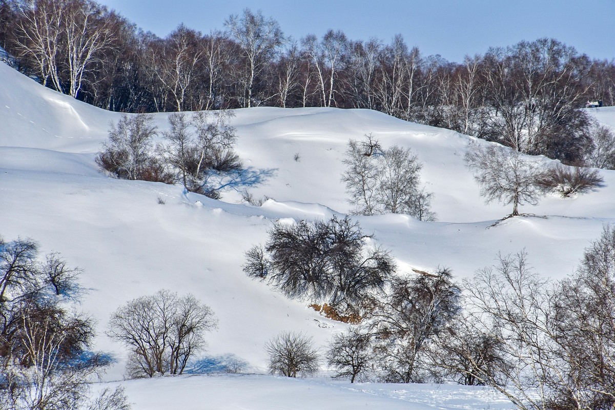 我只是把出去看到的随手记录下来（九十二）
