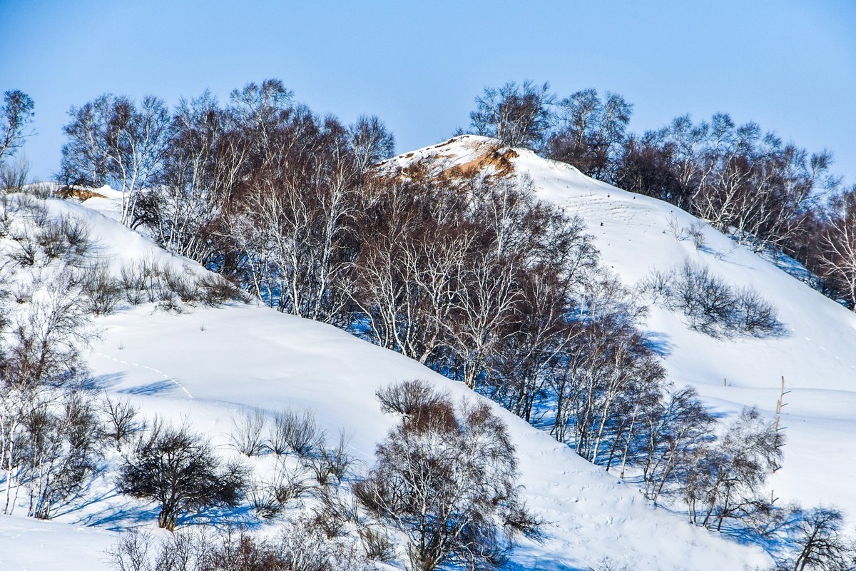 我只是把出去看到的随手记录下来（九十二）