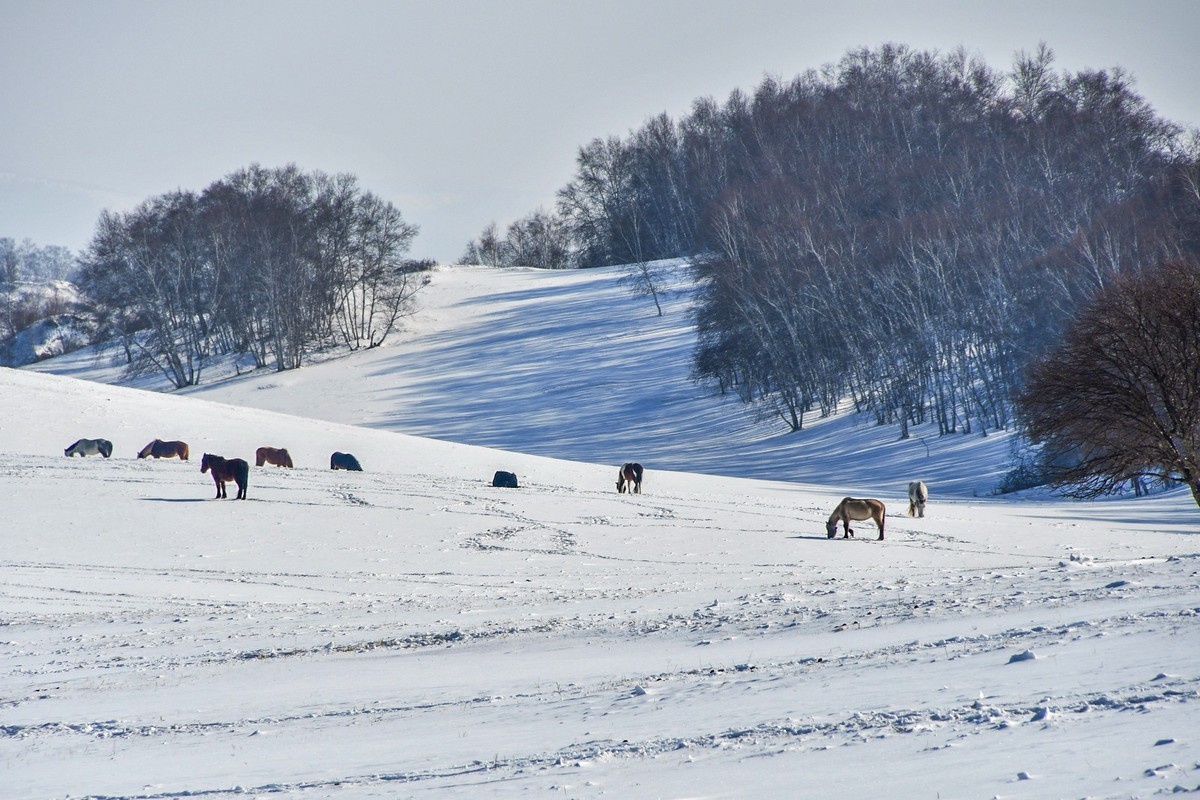 我只是把出去看到的随手记录下来（九十二）