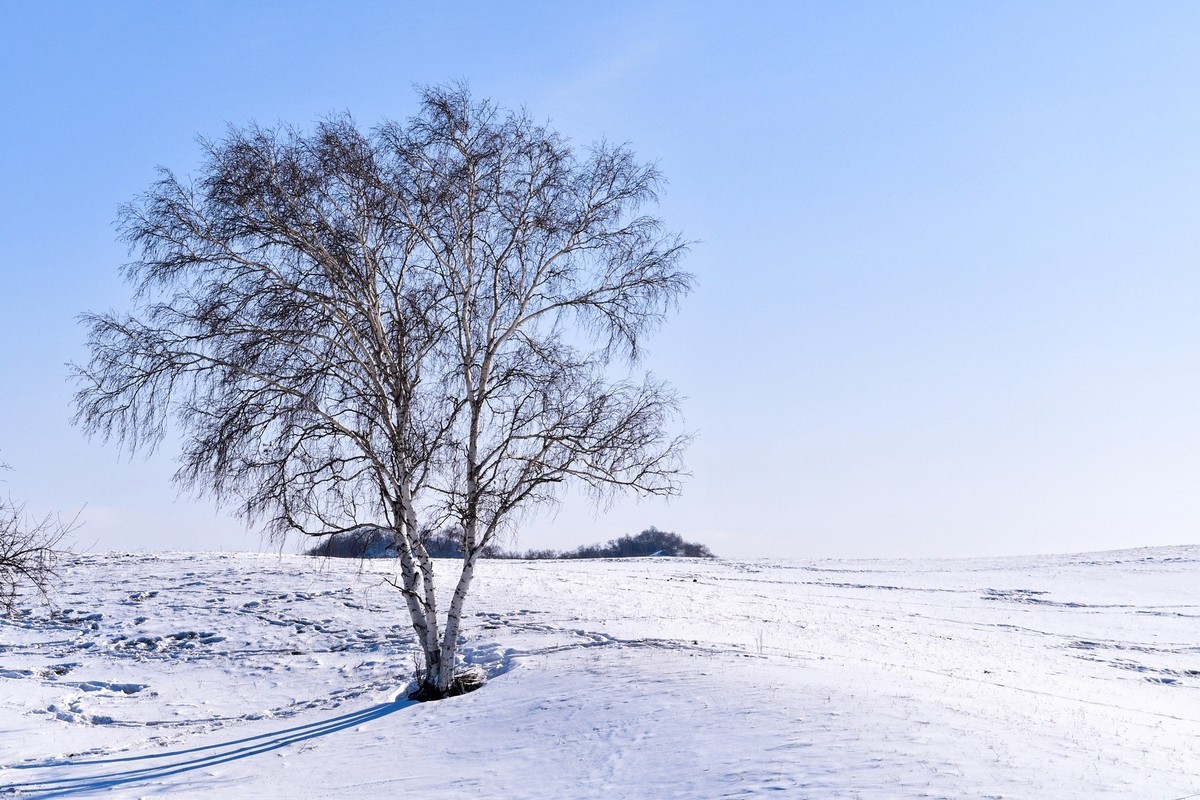 我只是把出去看到的随手记录下来（九十二）