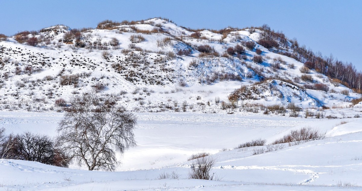 我只是把出去看到的随手记录下来（九十二）