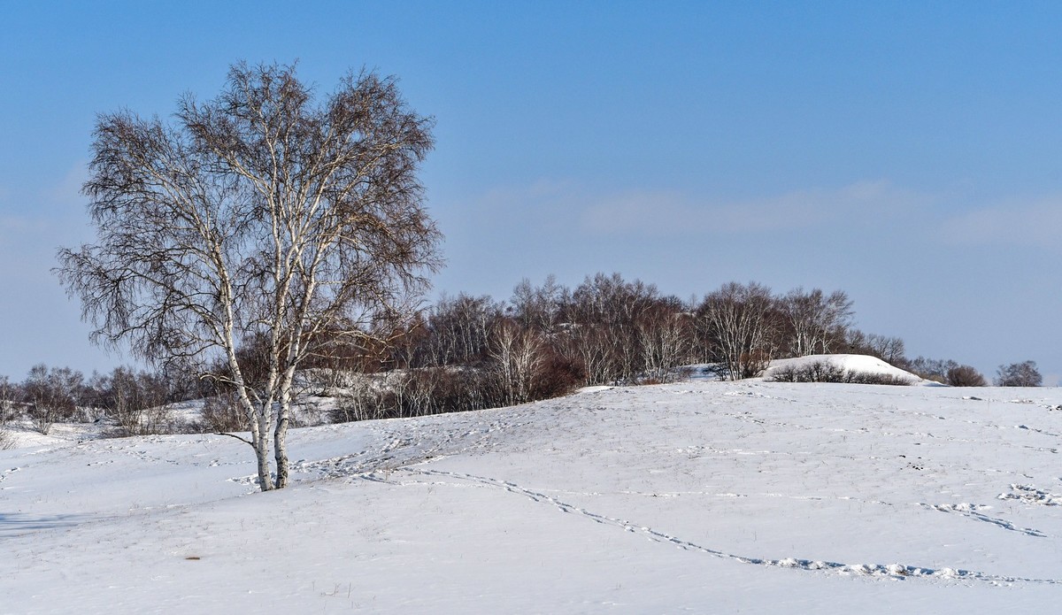我只是把出去看到的随手记录下来（九十二）