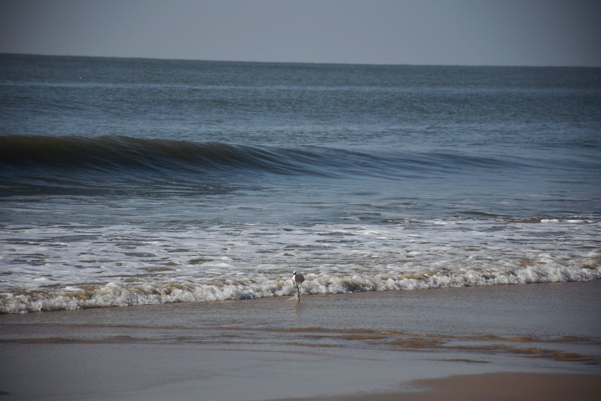 2025春节 广东行（76）金町湾