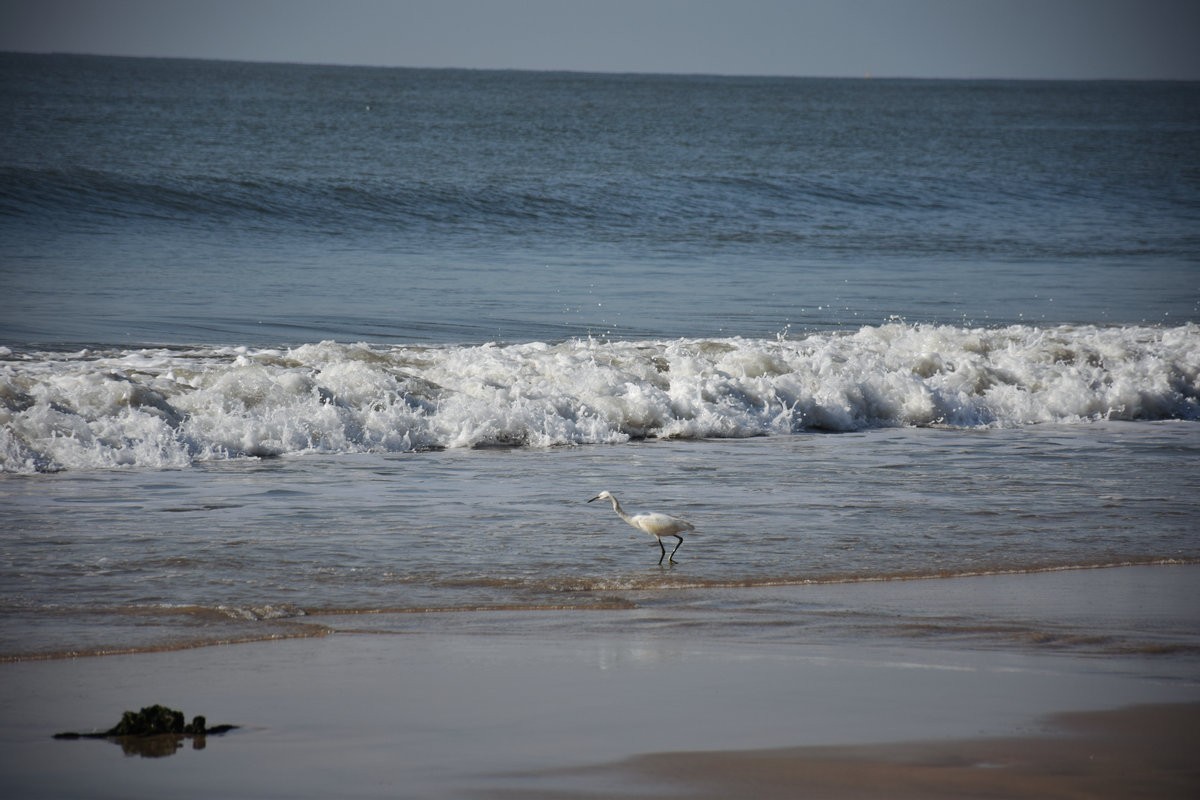 2025春节 广东行（76）金町湾