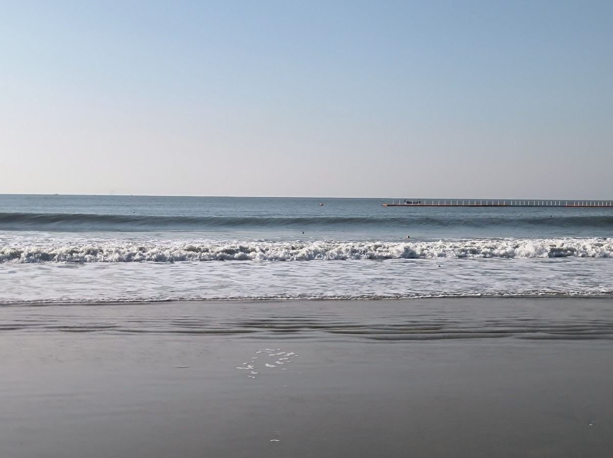 2025春节 广东行（76）金町湾