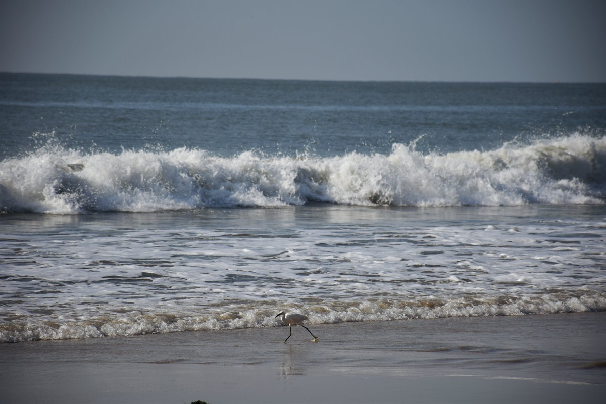 2025春节 广东行（77）置身于北纬22°