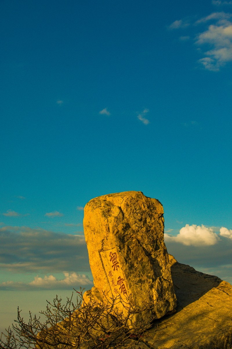 外出随拍（续359）.