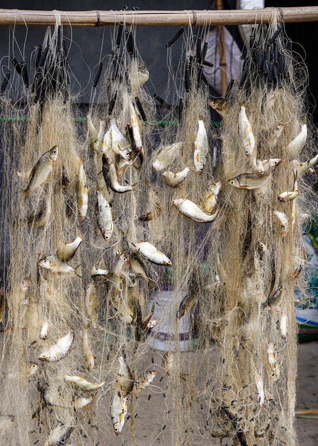 浙南--丽水-遂昌乡村【5】