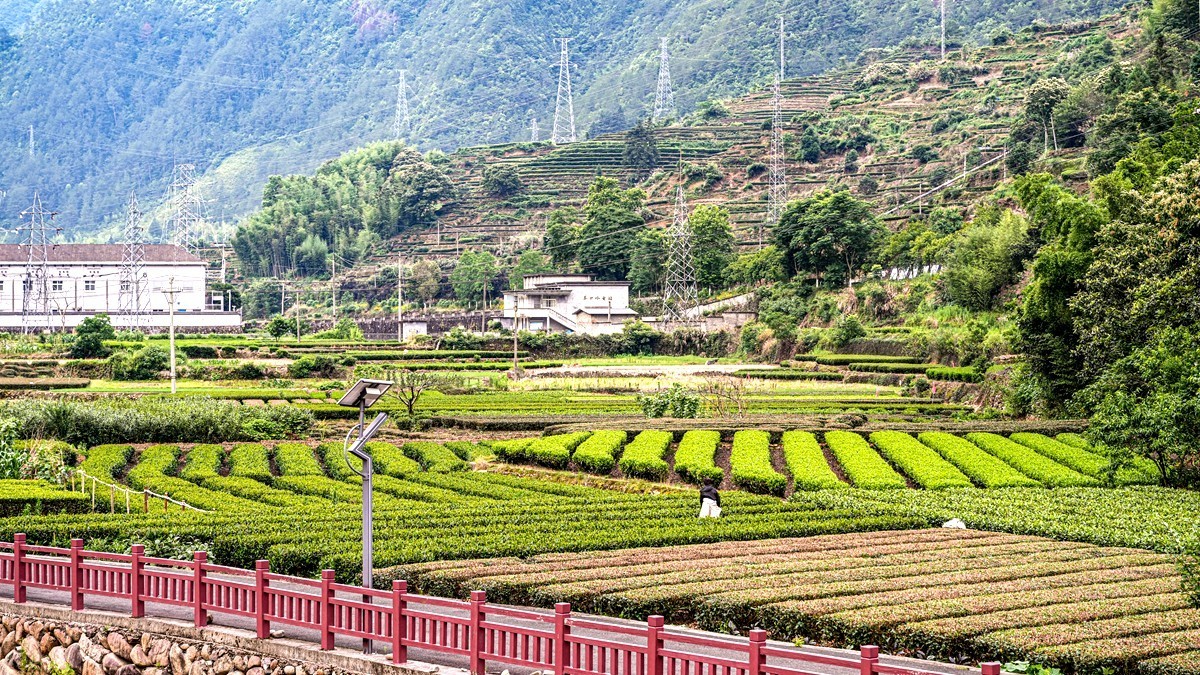 浙南--丽水-遂昌乡村【5】