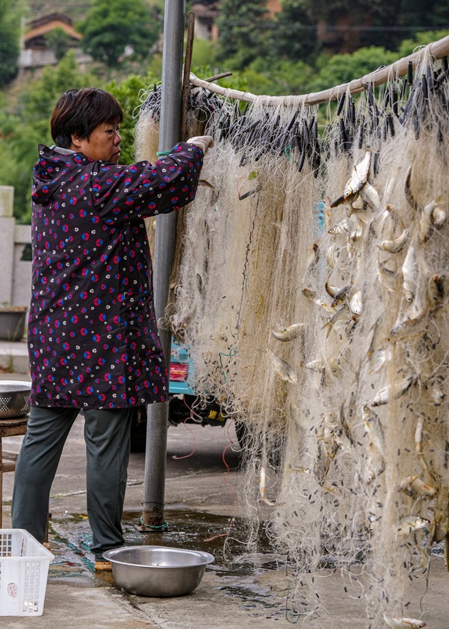 浙南--丽水-遂昌乡村【5】