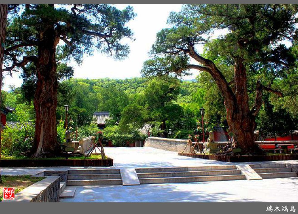 【京城寺庙集锦】52.大觉寺的故事