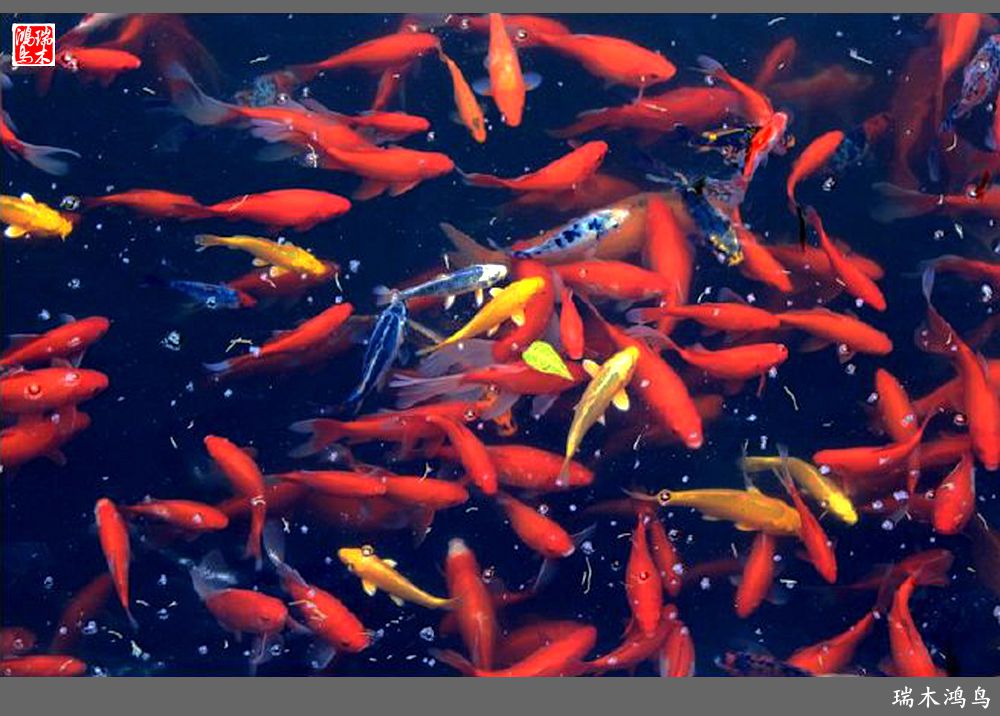 【京城寺庙集锦】52.大觉寺的故事