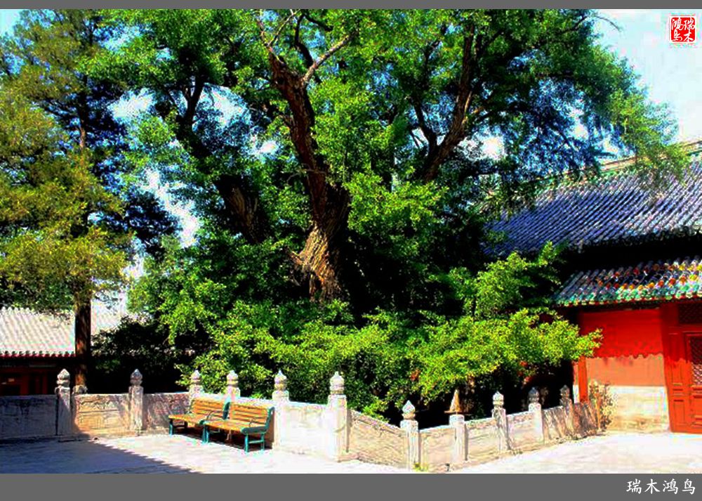 【京城寺庙集锦】52.大觉寺的故事