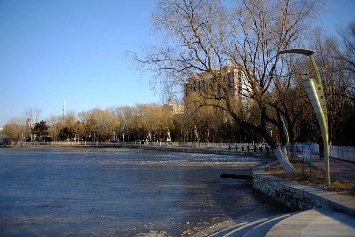 冬日里的镜湖公园