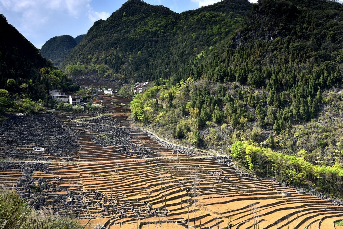 广西巴马至凌云路途随拍【3】