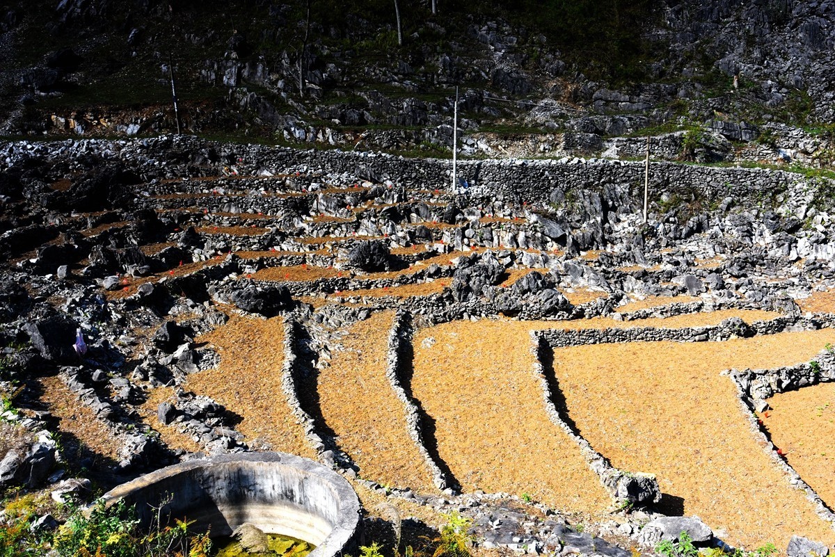 广西巴马至凌云路途随拍【3】