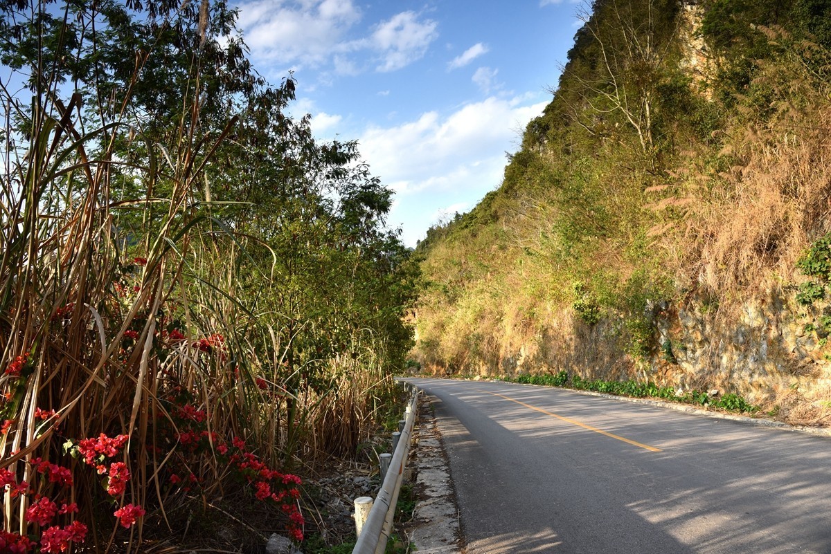 广西巴马至凌云路途随拍【3】