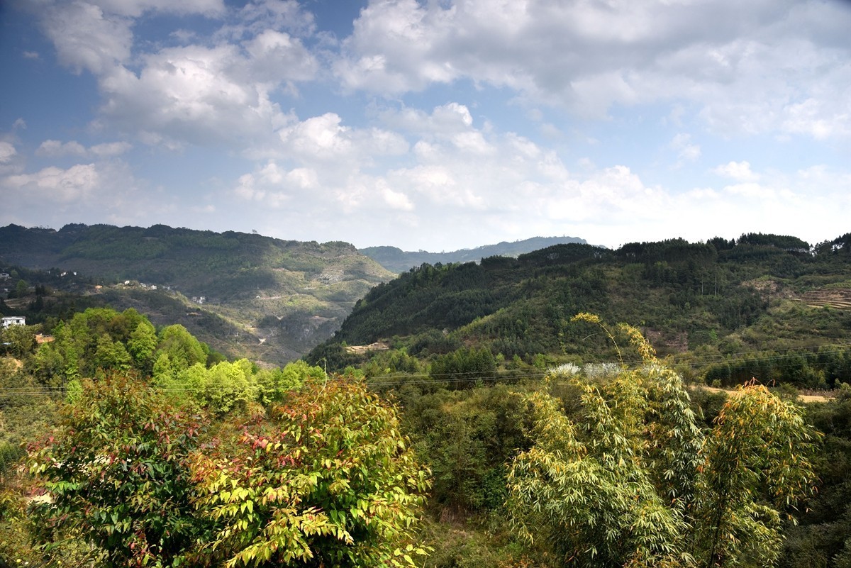 广西巴马至凌云路途随拍【8】