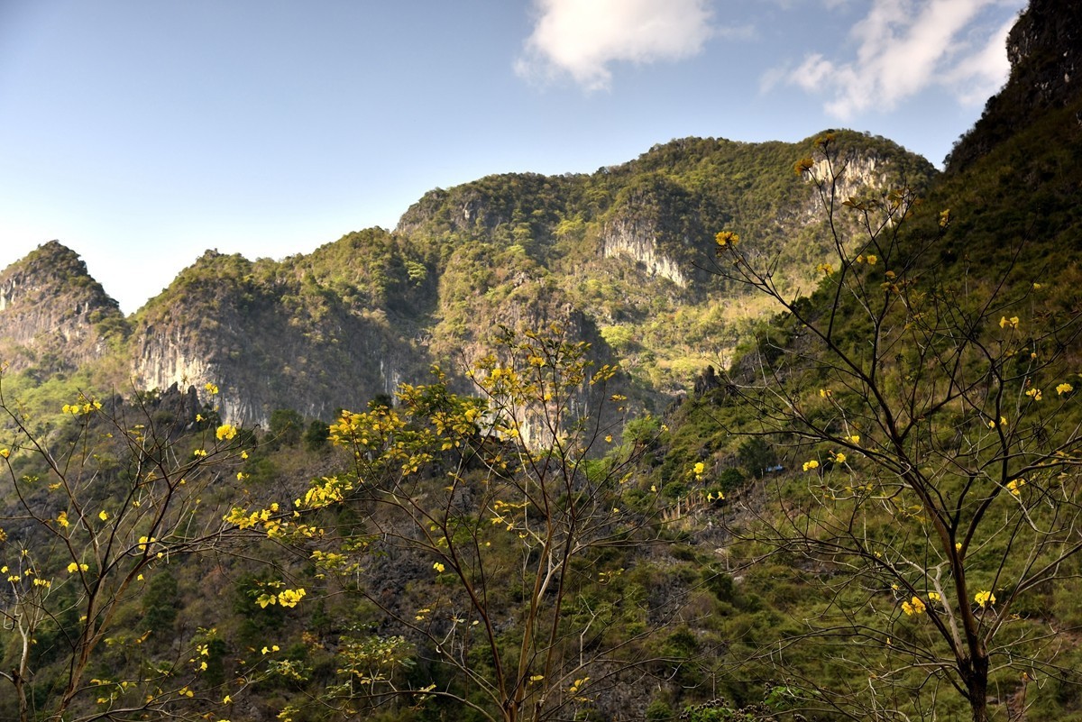 广西巴马至凌云路途随拍【8】