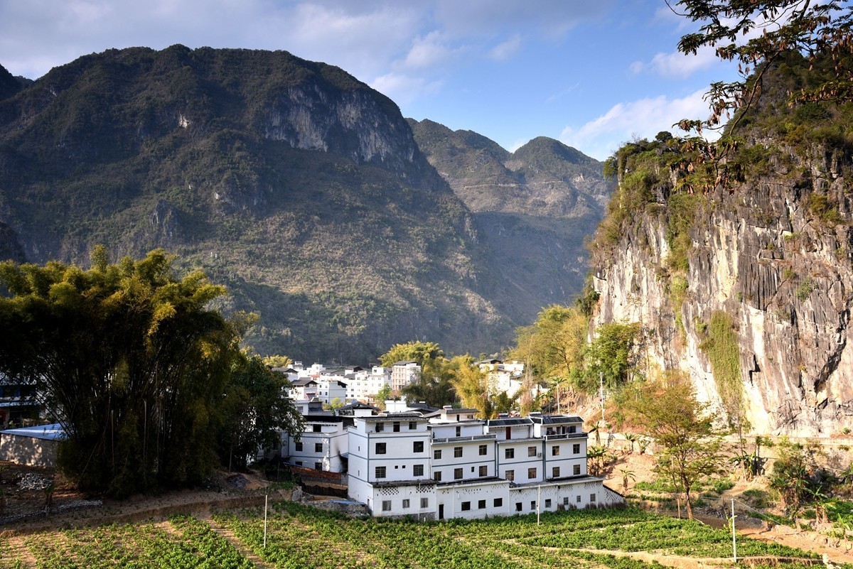 广西巴马至凌云路途随拍【8】