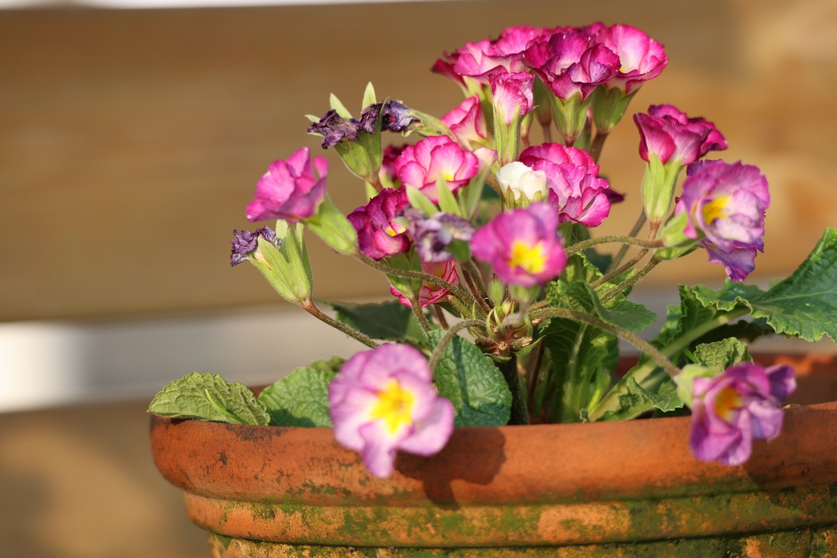 R62太冷清，还是回来发帖