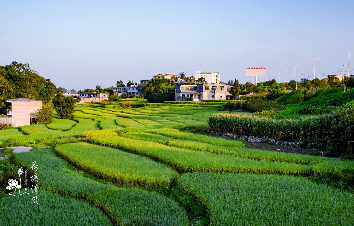 加油之城，美美安龙。美丽乡村，丰收在望。