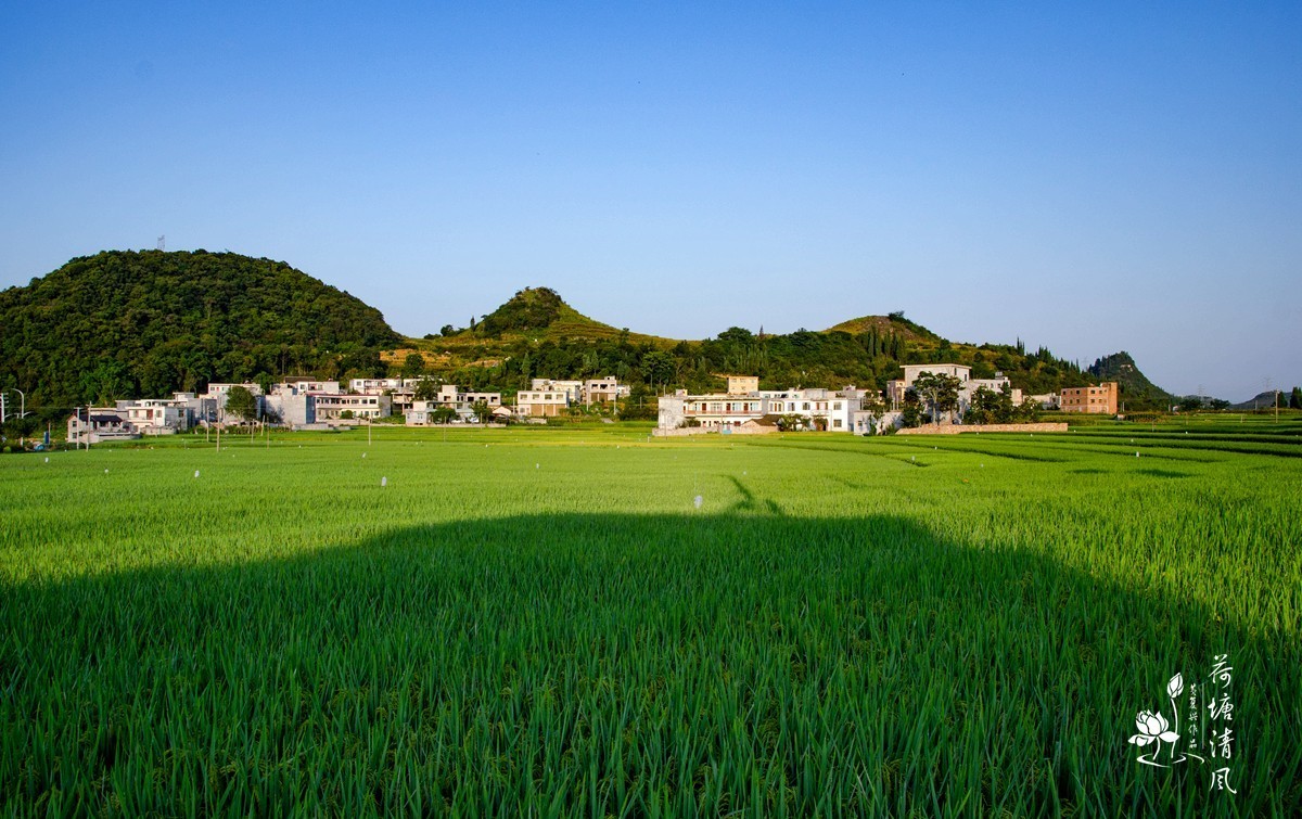 加油之城，美美安龙。美丽乡村，丰收在望。