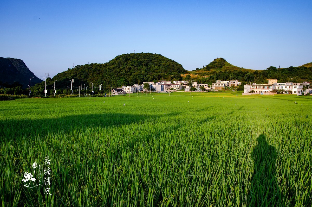加油之城，美美安龙。美丽乡村，丰收在望。
