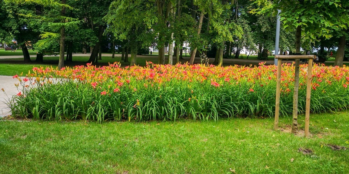 留影“索波特”（波兰）