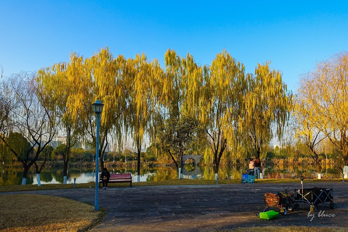 元旦游走白马湖公园