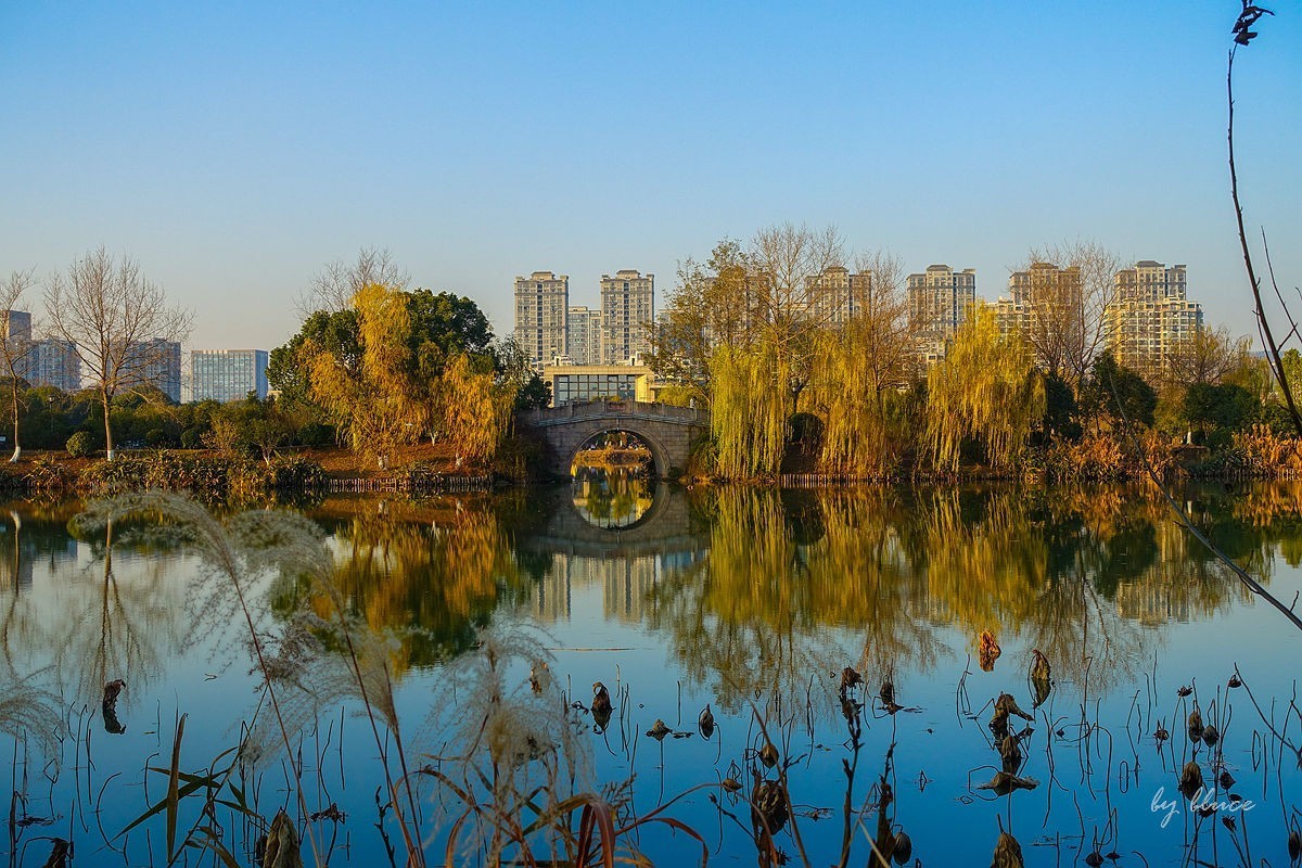 元旦游走白马湖公园