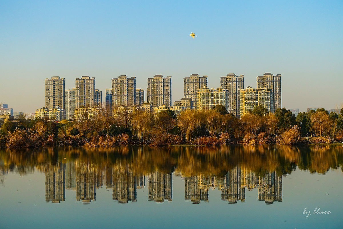 元旦游走白马湖公园
