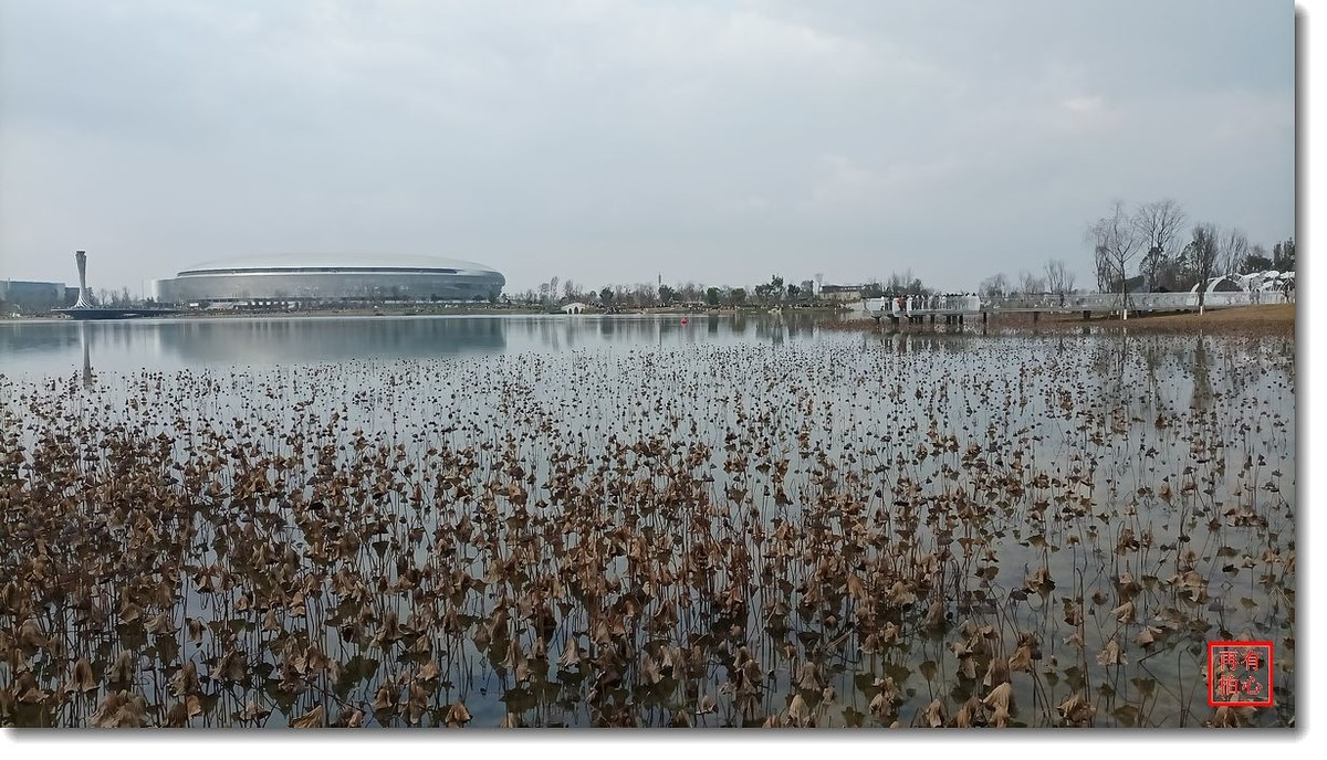 手机一组------东安湖