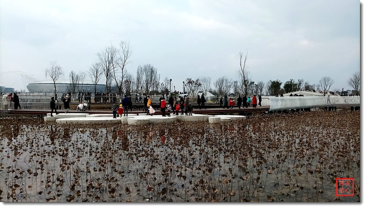 手机一组------东安湖