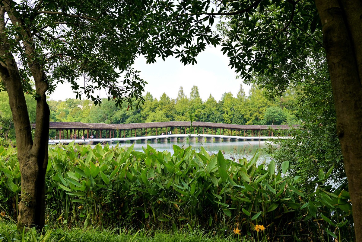 z5+40F2  西湖边浴鹄湾试镜