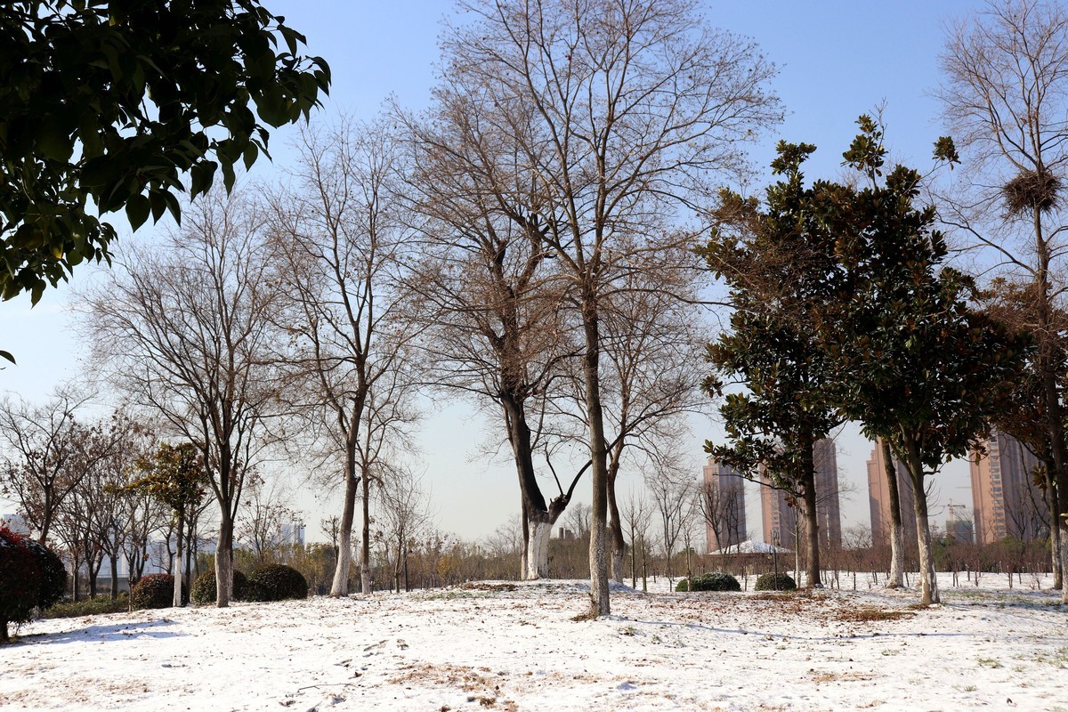 今冬第一場雪之雪後初晴隨拍