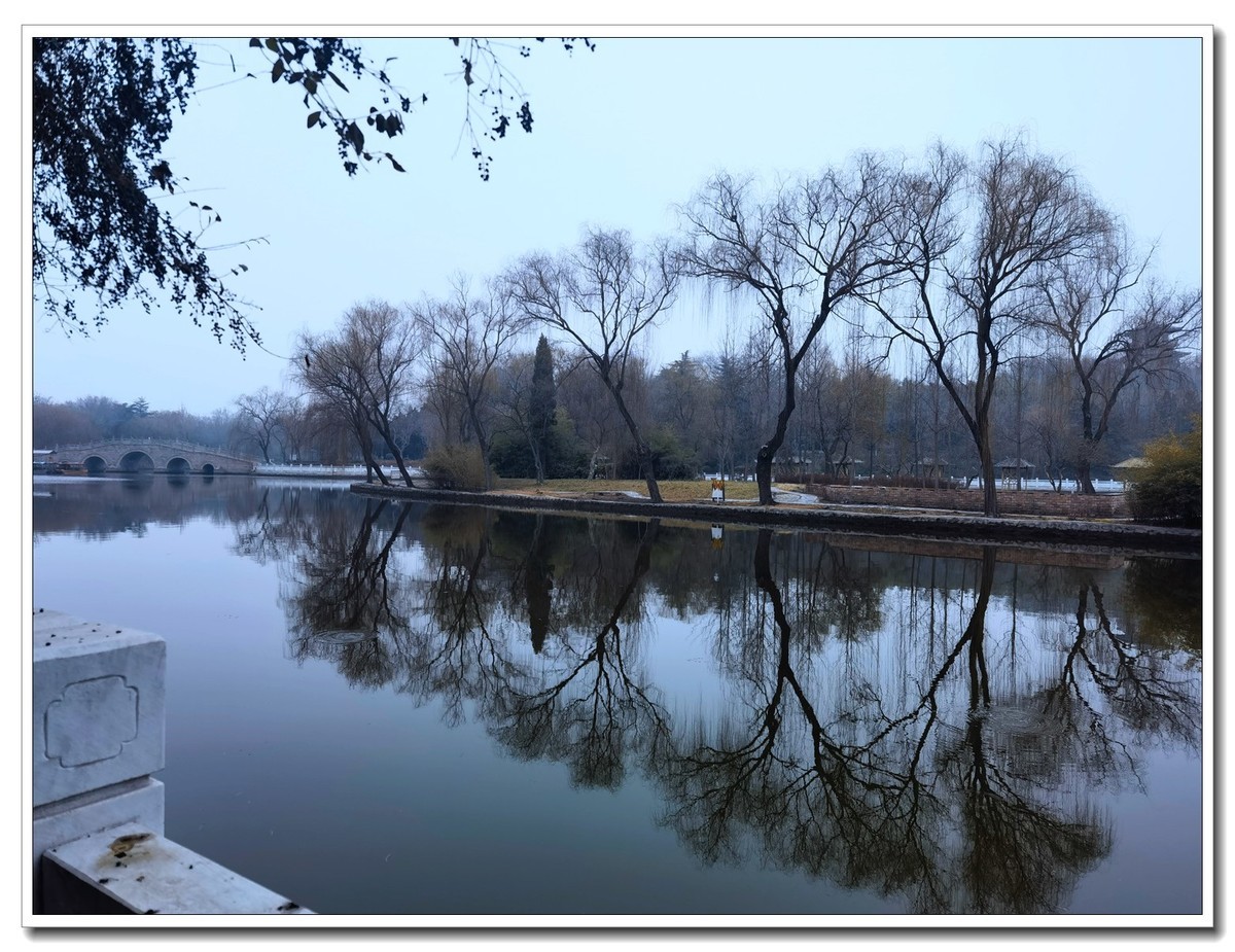 癸卯年正月随拍 2【2023-0133】