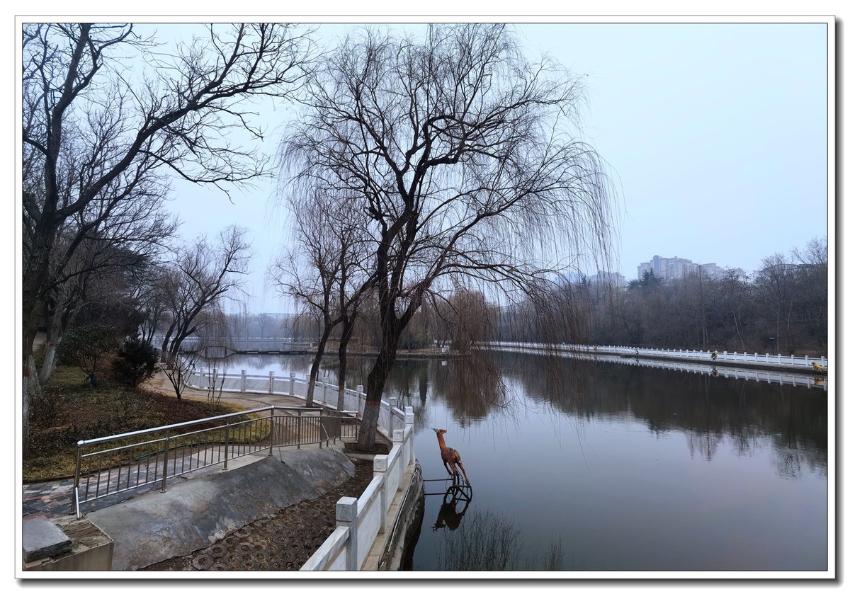 癸卯年正月随拍 2【2023-0133】