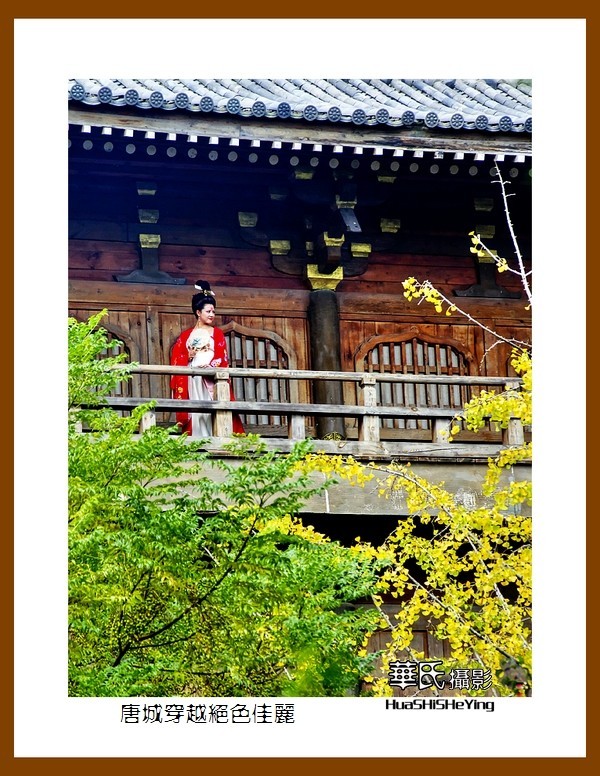 2020西西南北行游走湖北135—唐城穿越绝色佳丽（襄阳市）