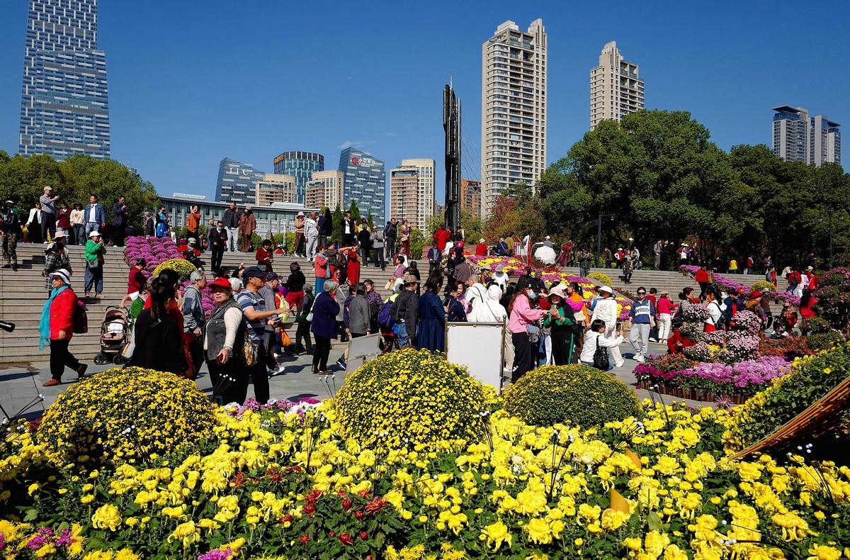 再见了，菊花。。。