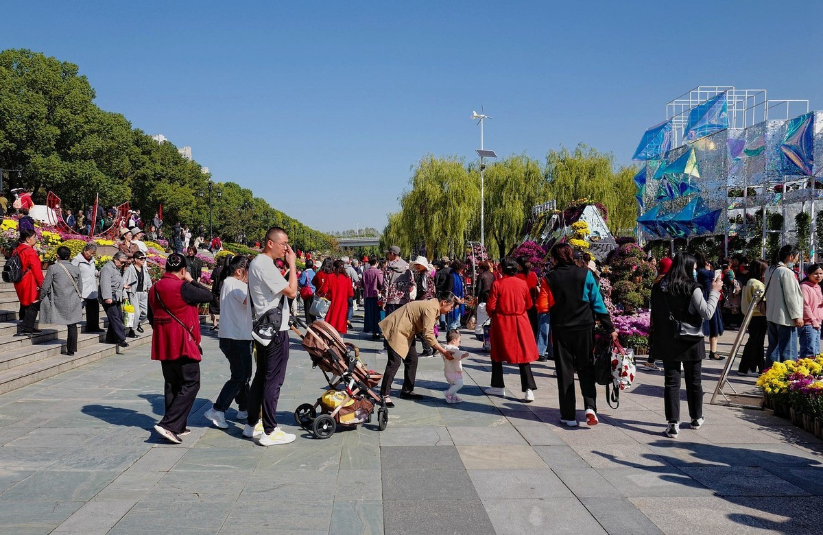 再见了，菊花。。。