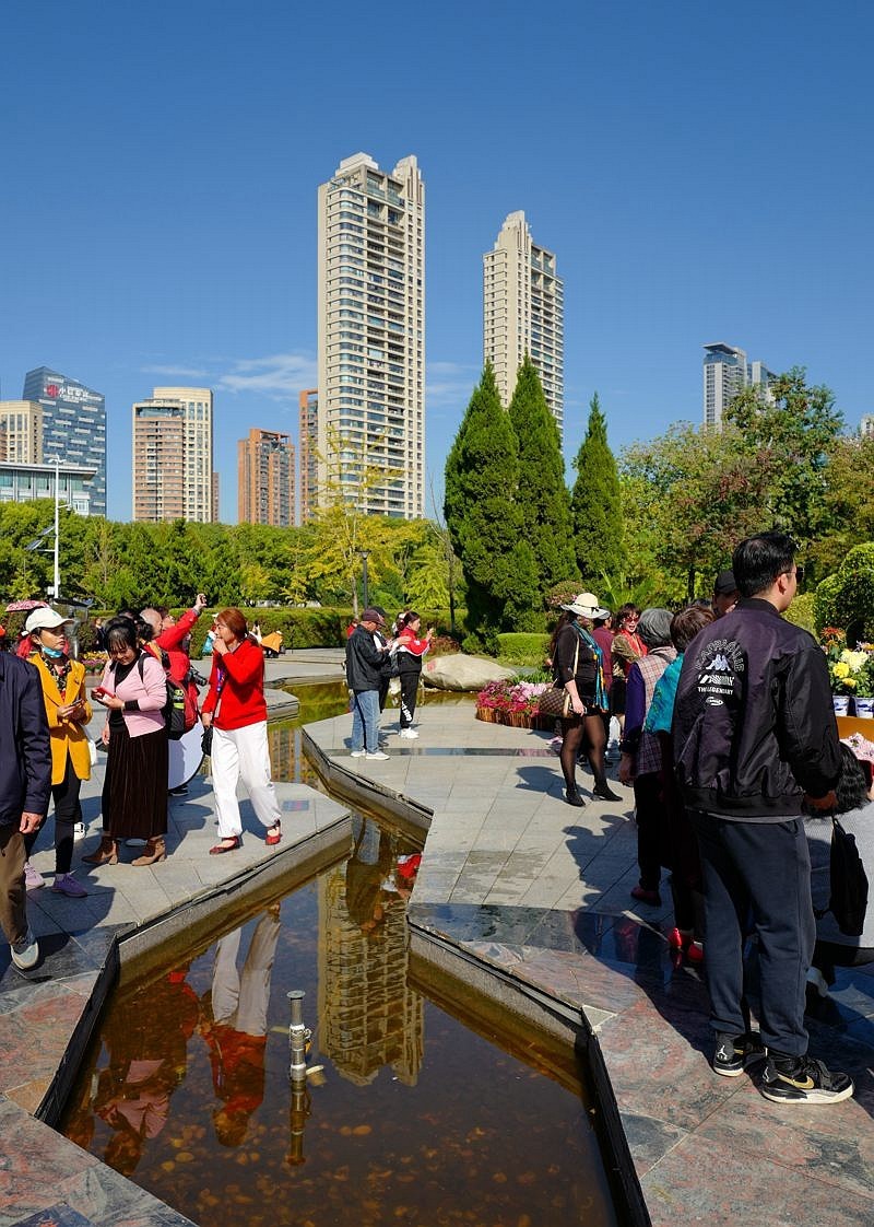 再见了，菊花。。。