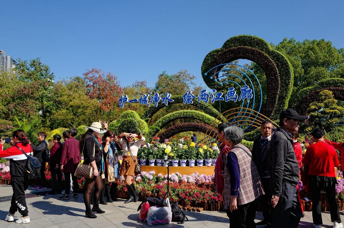 再见了，菊花。。。