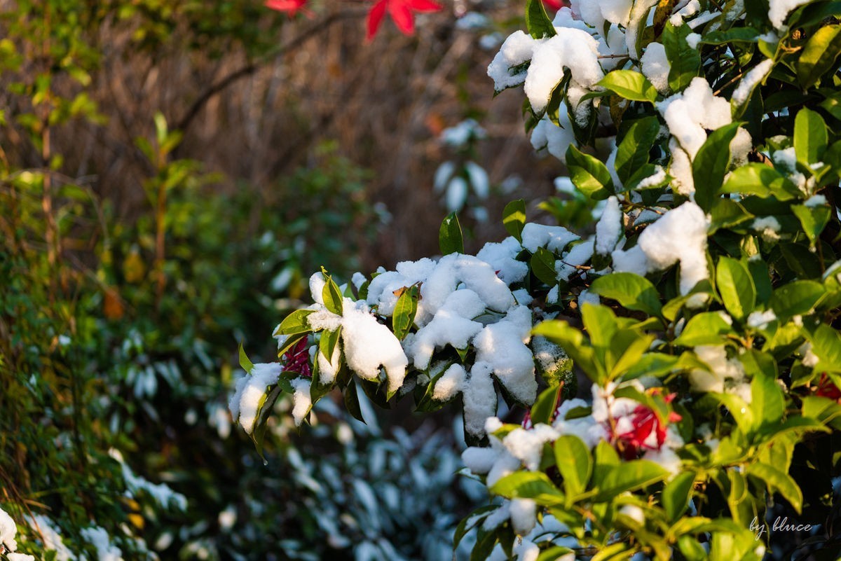登阅江楼【下】